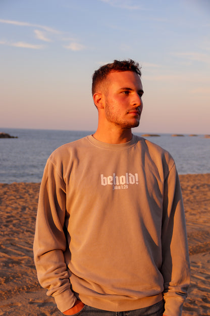 "BEHOLD" HEAVYWEIGHT PIGMENT CEMENT CREWNECK